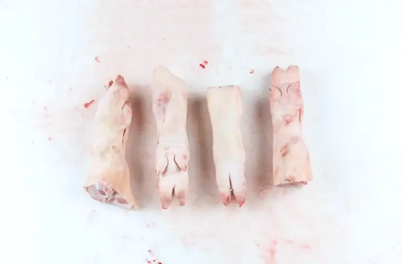Kaki — pork trotter